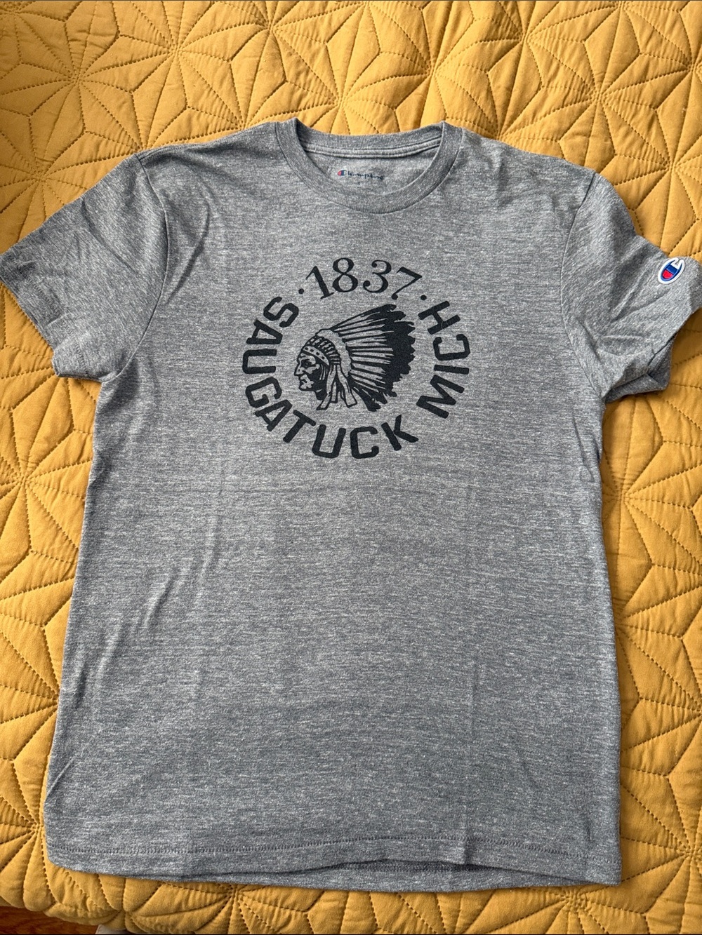 Saugatuck Michigan Champion Gray Short-Sleeve Unisex Tee with Dark Print Size S
